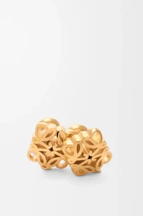 Anagram Bombé Chain Earrings