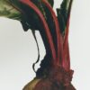 Beetroot wax candleholder