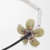 Flor Necklace in Sterling Silver and Crystals