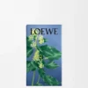 Ivy Room Spray