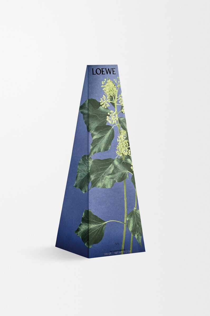 Ivy wax candleholder Ivy wax candleholder