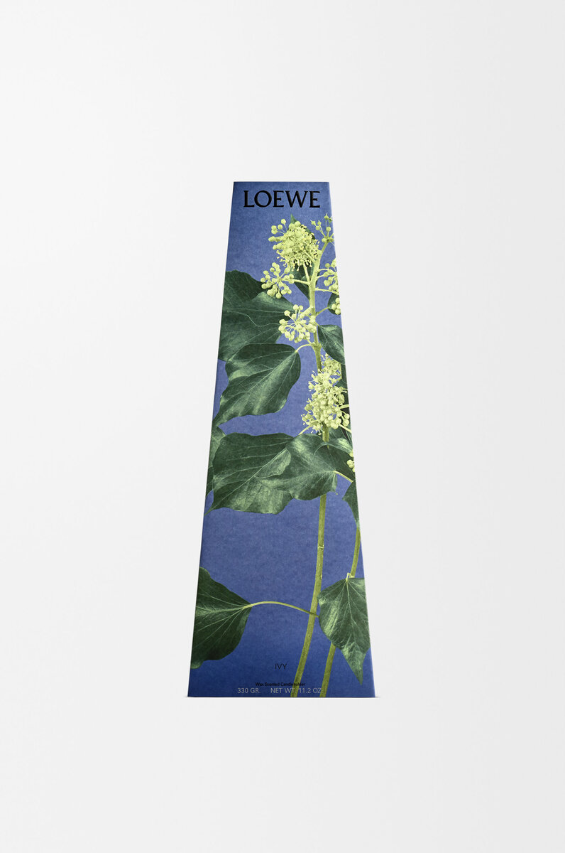 Ivy wax candleholder Ivy wax candleholder