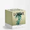 Large Scent of Marihuana Candle