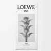 Loewe 001 Man Eau De Toilette 50 Ml