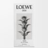LOEWE 001 Man Eau de Toilette 50ml LOEWE 001 Man Eau de Toilette 50ml