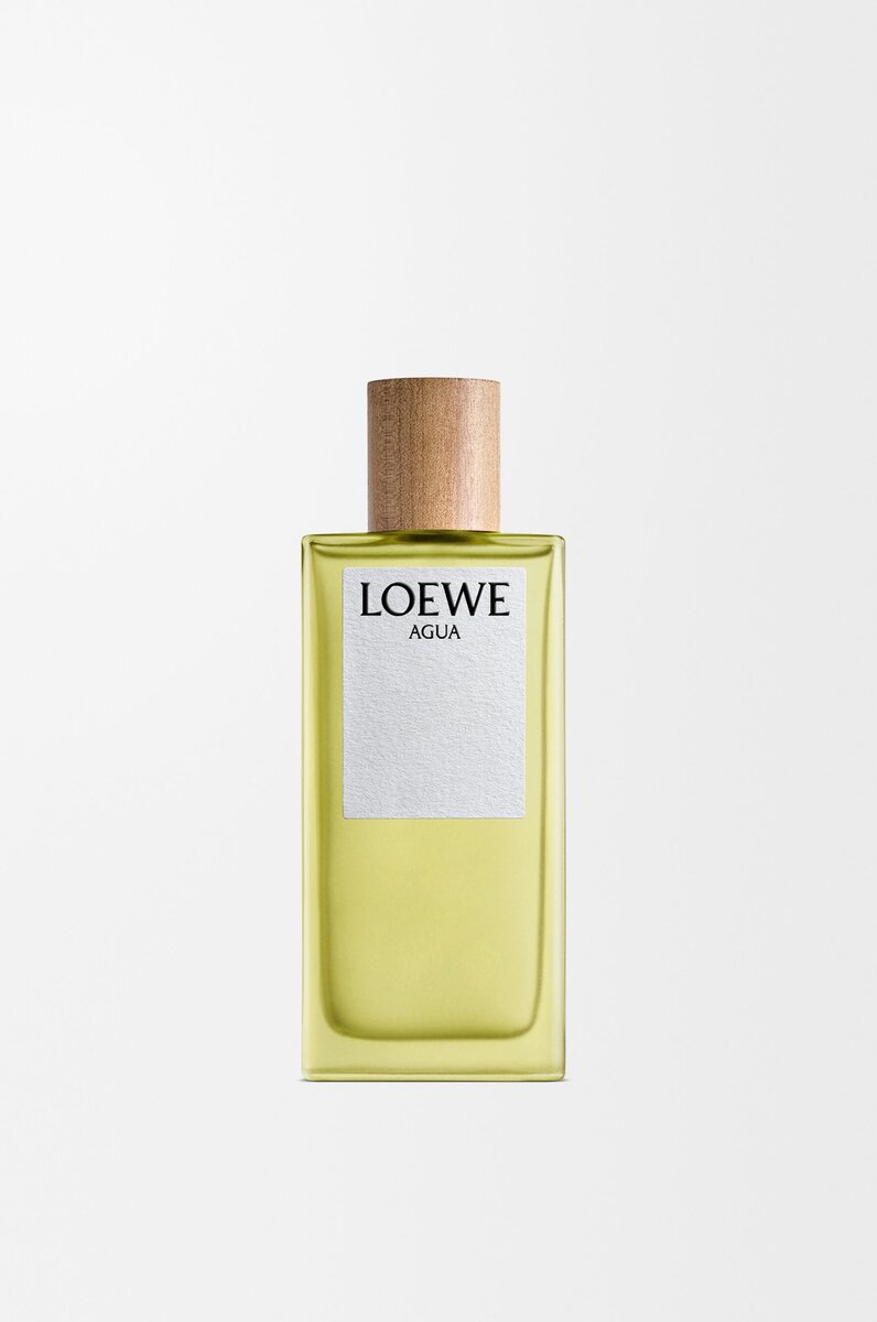 LOEWE Agua EDT 100ml LOEWE Agua EDT 100ml