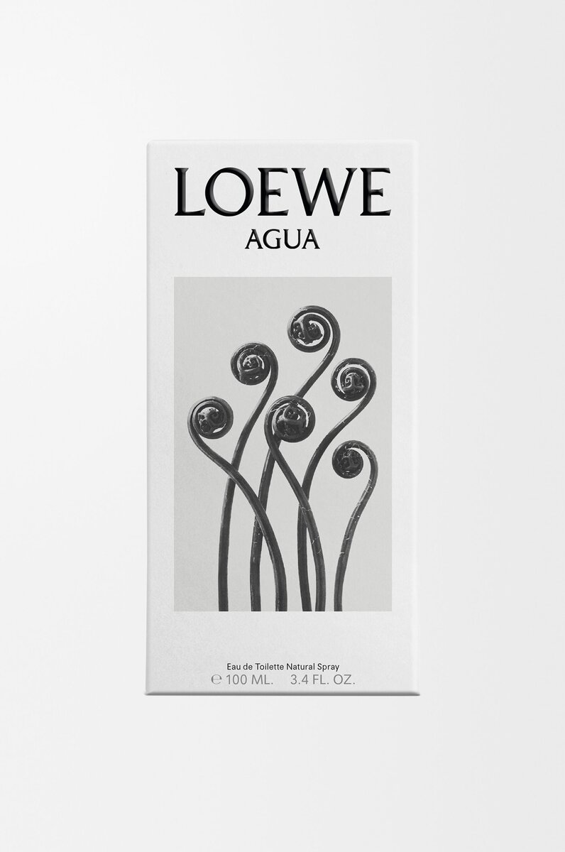 LOEWE Agua EDT 100ml LOEWE Agua EDT 100ml