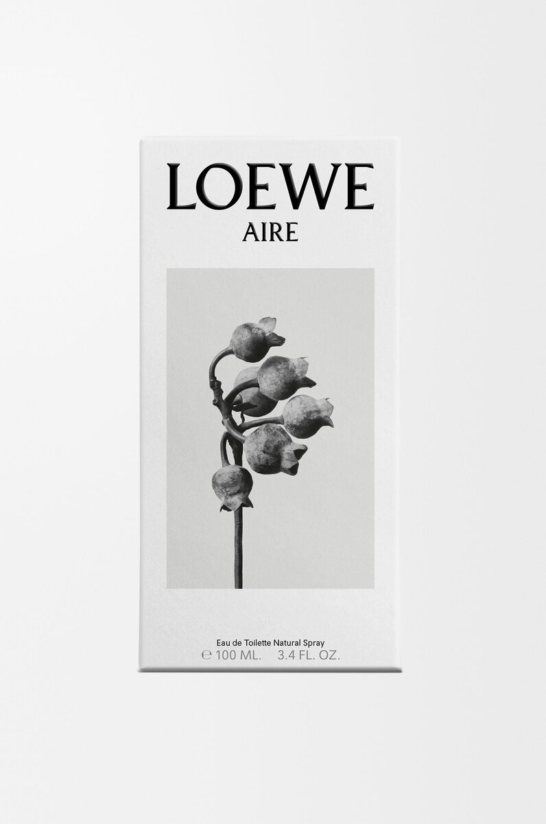 LOEWE Aire EDT 100ml LOEWE Aire EDT 100ml