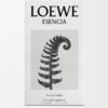 LOEWE Esencia EDT 150ml