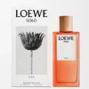 Loewe Solo Ella Eau De Parfum 100 Ml