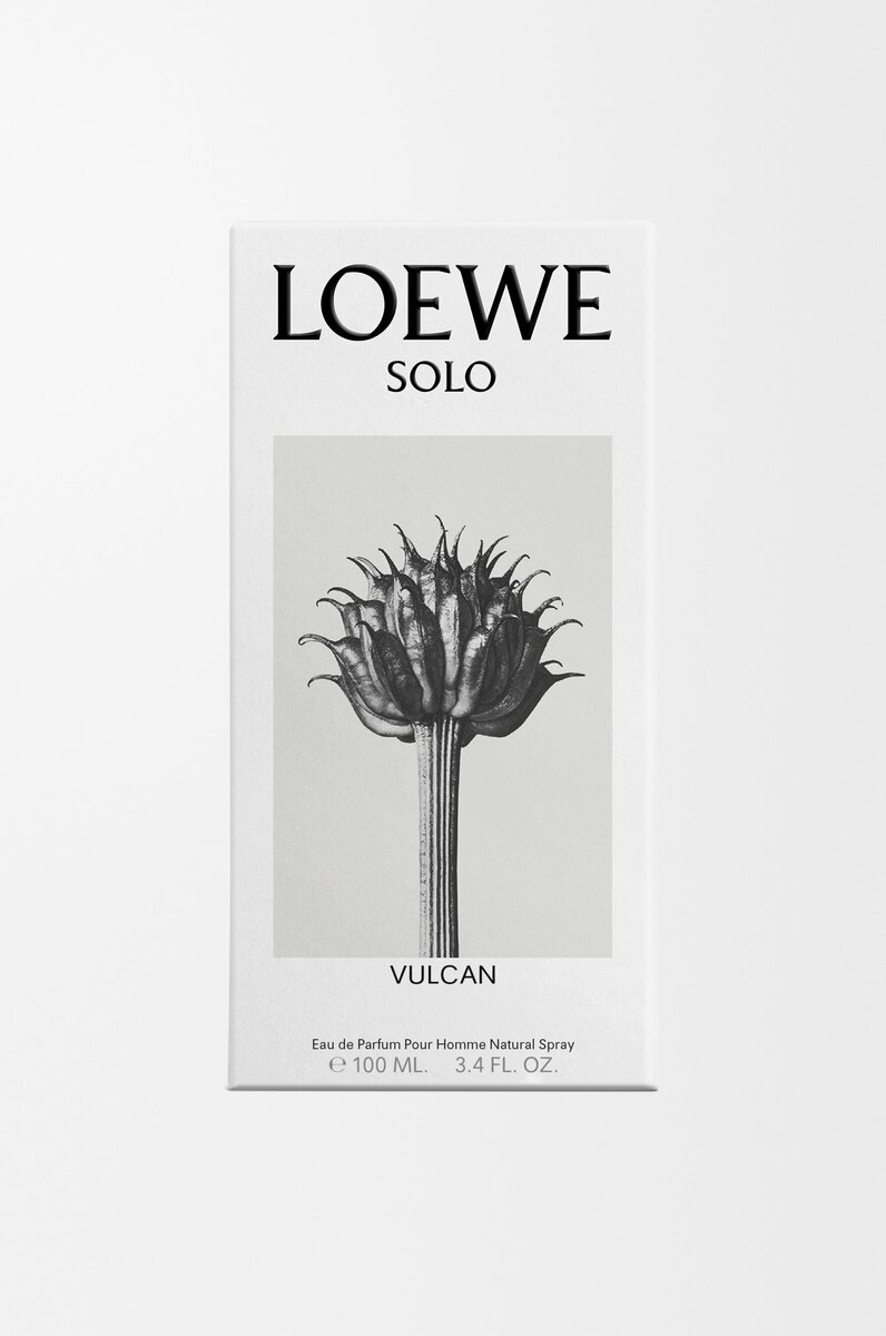 LOEWE Solo Vulcan EDP 100ml LOEWE Solo Vulcan EDP 100ml