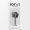LOEWE Solo Vulcan EDP 50ml