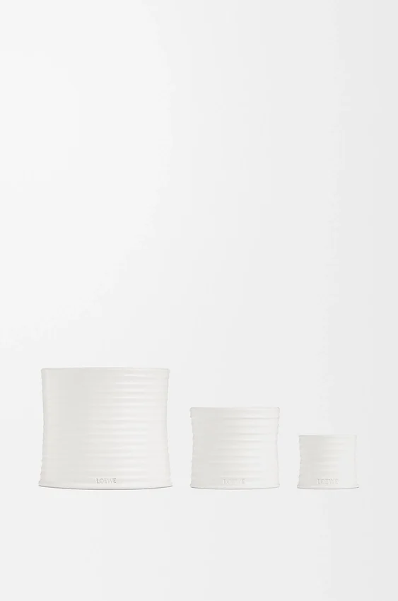 Medium Oregano Candle Medium Oregano Candle