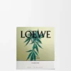 Medium Scent of Marihuana Candle