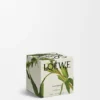 Midi Black Sesame Scented Candle