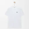 Regular Fit T-Shirt in Cotton
