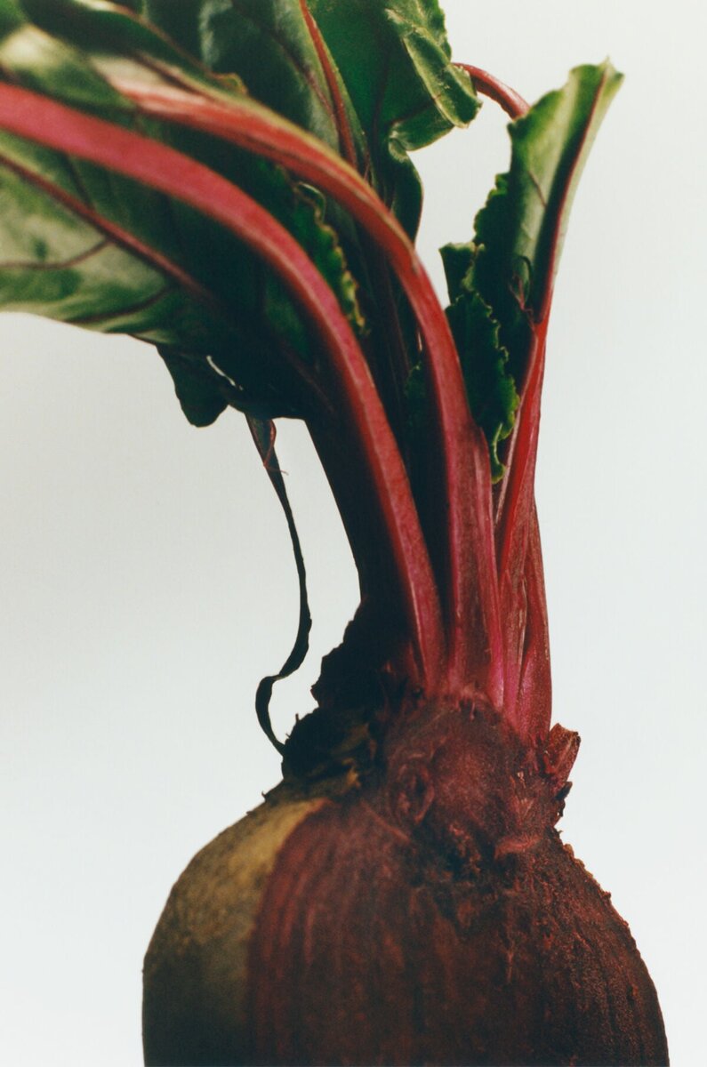 Large Beetroot Candle Large Beetroot Candle