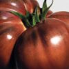 Large Tomato Leaves Candle