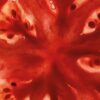 Tomato Leaves Hand Cleanser